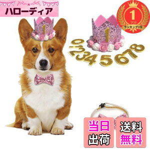 yzyyVLO1ʊlzybg aXq lN^C  L   t NE LL  NX}X LO aObY 2Zbg (sN)