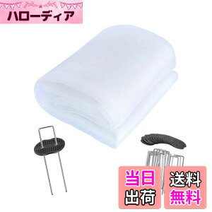 yzhlbg lbg |G` 3m×c10m Q̐Nh |؍͔|lbg hlbg ۉ h ʂ ƒ؉   |  zCg