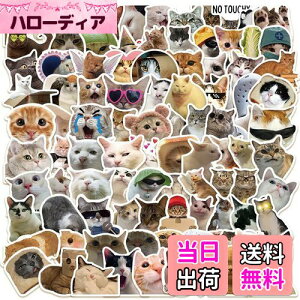 yz˂XebJ[Zbg 100 LbghXebJ[ LV[pbN ɂ񂿂uhXebJ[ X[cP[X  oCN wbg XP{[ M^[ȂǂɓKp