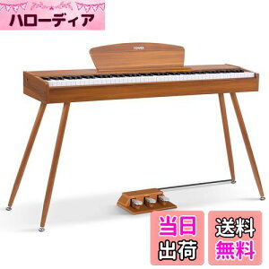 yzDonner dqsAm 88 n}[ANbV 3{y_ X^h A_v^[t { F DDP-80