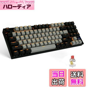 yzefJjJQ[~OL[{[h89L[ Ԏ   USBLڑ FLEDobNCg io[pbhtWindows/Mac/PS4ɑΉ̃Q[/ItBXpL[{[h (O[{u