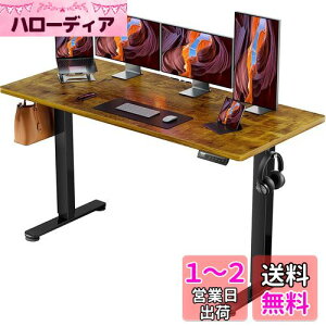 ergear 昇降式デスク 電動の人気商品・通販・価格比較 - 価格.com
