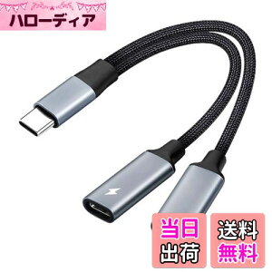 2in1 ^CvC[dCzϊP[u Type-CCzWbNUSB C PD[dA_v^ ʘb/ʒ/yCz  ϋv iC҂ ڑP[uΉ Samsung S21/S20/Google pixel5/4/3/3
