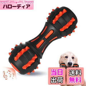 yzAUSCAT  ̏o邨 ނ mߋ VRS _x pߋ  XgX ^E^iԁj