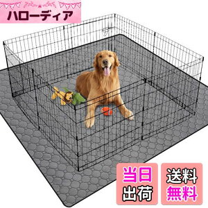 yzybgV[c 􂦂 ybgp}bg L p pbh ybgp gC~}bg  􂦂 唻TCY ɍœKiO[ 165*122cmj