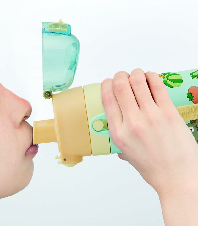 楽天市場】スケーター(Skater) 子供用 ステンレス 水筒 直飲み 480ml 