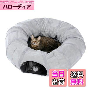 yzPAWZ Road Lgl Lbggl ~ h[ic^  lC ^Cgl O xbh L̑   a25CM ܂肽 XgXU ^s - O[ h[