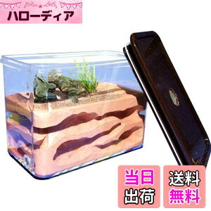 yzUmora Ȃ ALbg ΍p Aώ@Lbg A apP[X A甠  R ώ@L ߋ aȂ