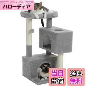 yzPAWZ Road Lbg^[ ~j  RpNg X L^[ ܌ ܂Ƃ|[ LnEX2 u  VjAL VL qL o₷ VRTCU t