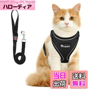 yzL Lp n[lX  L ˂ lR qL q ^ U o Ȃ xXg \tg y ʂ}WbNe[vő TCY߉ 锽 ʋCbV