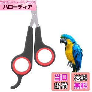 yz̒ܐ؂, o[hP[WGbZVANZT[Ao[hO[~Oc[AANZT[\bhXeXX`[o[hlCNbp[AybgVb