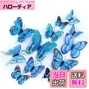 yzULIN  3D  EH[XebJ[ ǎV[  ʃe[v V[ rO ① CeA ǃV[  킢 EH[y[p[ |X^[ u[