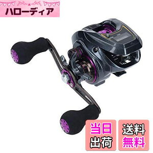 yz_C(DAIWA) LIGHT SW X IC R JE^[txCg[