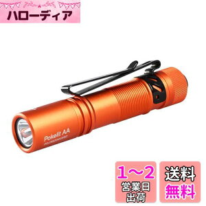 ACEBEAM Pokelit AA d ^ y  550[PO 3iK F Ra90 IP68h ő9̎s 肵ptH[}X イłƂ ledCg tbVCg h 