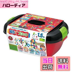 【送料無料】トイローヤル 磁石でブロック ( ブロック遊び / 収納ボックス付き ) 知育玩具 赤ちゃん おもちゃ ( 磁石でくっつく / 創造力 ) 幼児 グットトイ 立体遊び 想像遊び