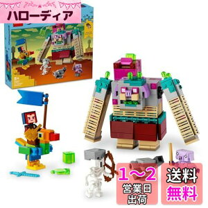 yzS(LEGO) }CNtg foEA[Ƃ̑Ό  ߋ NX}Xv[g v[g ubN j̎q ̎q q 7 8 9 10 w }CN WFY 21257