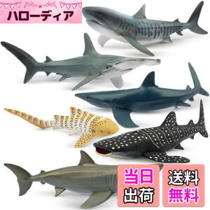 yzTOYMANY tBMA 6PCSTtBMA CmtBMAZbg 12cm`14cm   C̐ Aȓ͌^ TD lC  ߋ av[g N