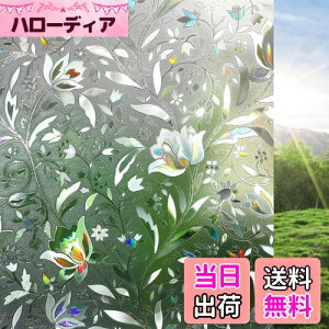 yzRabbitgoo  ߂V[g XehOX V[ ͂鑋KXtB O猩ȂptB ڒܕsv ߂ UVJbgO΍ ȑ Ռf