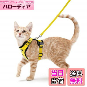 yzRabbitgoo L n[lX [h Zbg Ȃ Lpn[lX \tgy Lp ^ ^ U ЊQ ́[˂ [ グ TCY߉ 锽 ʋC