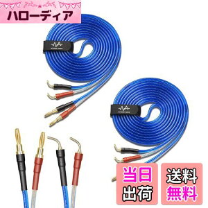 yzyoinz 2{1g LRZbg yoiivOHρz by yWYVERN AUDIOz 24kbL vO Xs[J[ P[u in_ς By WYVERN AUDIO (oiivO̐jvO / 