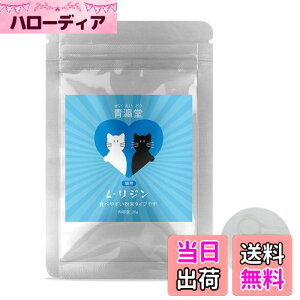 yzi(ǂ)x L-WLp(20g) ^₷ɍו^Cv vʃXv[t