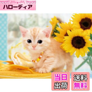 yzG|bN 108s[X WO\[pY /ybg ˂ ˂̂Ȃ₷ (18.2×25.7cm) 01-057 ̂t wt _t EPOCH