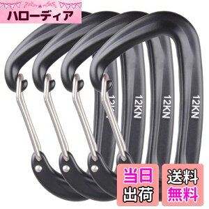 yzAzarxis bNJri ω׏d 12KN(1200kg) oRt A~ Jri DO bLO L[O Eh~ y @\ nbN Lv AEghA