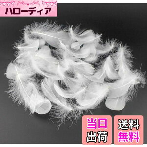 yzKingsie VR H 100Zbg tFU[V[ HV[ |f  EGfBO o (zCg)