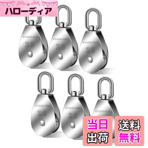 yzbZC  v[[ XCx XeX [v  C[ v[[  O ݕA NC~O ݍH (M20-6Zbg)