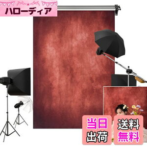 yzKate 1.5x2.2m  ԂF wiz eNX` ʐ^ wi lBe Bep wi z JX^}CY\wi