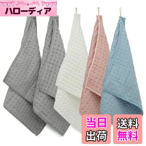KYOSAMA ӂ H ӂ G Lb`^I  Lb`NX }CNt@Co[ Lb`pi z @ @ ӂ KX@ Lb`ӂ ӂ yO[2