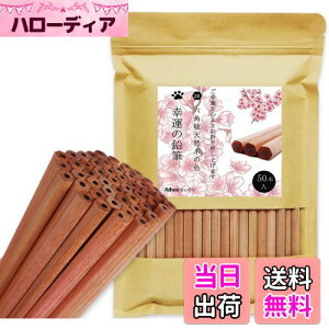 yzAdhereM VR؉M 2B Zp 50{҂ Vtg _炩KAq̊wZ̏A`Ac^AwAܕiAŵ߂̉M  (SȂE50{)