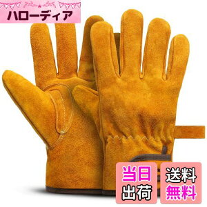 yz[Fieekty] ϔMO[u Lv  o[xL[ AEghApϔM yϔMiz LȂ v ω dXg[u Α n |p Ɨp tz 