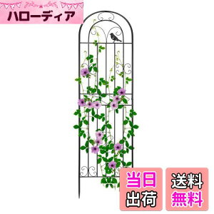 【送料無料】Rxakudedo アイアンフェンス 園芸 フェンス ガーデンフェンス ハイタイプ 高さ180cm ローズフェンス 蔓性植物用支柱 フェンス