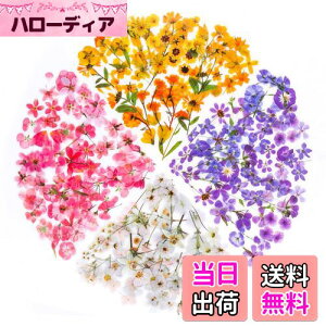 yzYOVOY 164 R[W f V[ ԃV[Zbg t[NV[ XebJ[ e    A 蒠fރXebJ[ KXrƉ