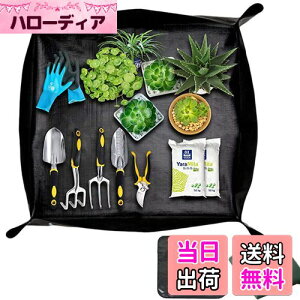 yzSensaBliss |V[g AւV[g 75cm*75cm ` h h~ K[fjOV[g A ̐Aւ y ڐA y}bg cg[ ye  O 