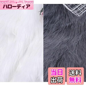 yzsiawadeky Bep wiz 2Zbg wAn wiV[g oł iBe CNAbv lCA[g WG[ Be wiX^h \ obNp[p[ ʐ^ 