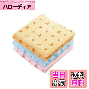 yzKosugizen oX^I poX^I N} 3Fe1 60×120cm ₷^Cv ܂Ƃ߂Ă 3Zbg ST-5808-3