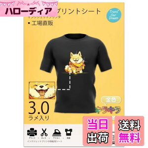 【送料無料】TransOurDream 真正の転写シート キラキラアイロンプリントシート 金色フラッシュ A4 5枚 布用キラキラシール転写紙 黒・濃色生地用 プリントシート アイロンプリント用紙 Tシャツ