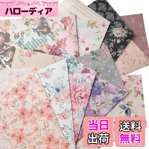 yzTOHYAN A4 ʃfUCy[p[ ԕ ㎿90 fU  1050 { J[ fUCp R[W bsOy[p[ {^jJ t[   nh