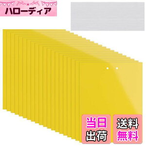 yzKALOLINNA  SV[g  QߊlS ʔS h S ȒPt Q ߒ h nG 쏜 ߊl K[fjO _ ͔| ƒ؉ CG[ (20×10cm,20)