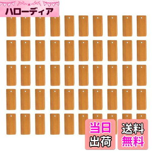 yznalaina |XCX |ؕ (50Zbg) `bv ^O p؍ރ`bv DIY|ؐy_g L[z_[ y_g p`bv 蕨 |  H|i 45 x 20mm |