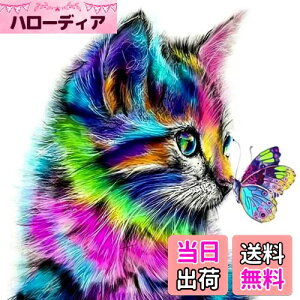 yz5d_ChA[g Lƒ 5D _Chh UCNA[g _ChyCeBO Lbg r[YG Sʓ\t^Cv r[YA[g UCNr[Y |pi 