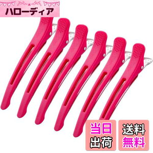 yzGiitoo _bJ[ vp wANbv et Ɩp ՂȂ ~߃St (6{, sN)