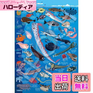 �y���������z�G�|�b�N�� 100���[�W�s�[�X �W�O�\�[�p�Y�� �C���X�g/�A�[�g �F�i���� �[�C�����}�� ���[200m~1000m (26×38cm) 26-807 �̂�t�� �w���t�� �_�����t�� EPOCH