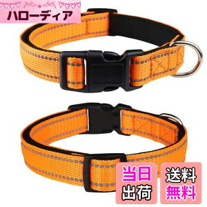 yzTHAIN   ̎ ^A^A^p q  y ybgpi ˍޗ iC ʋC e͐ _炩 ߉\ (M, IW)