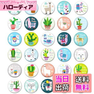 【送料無料】MORCART 30個 マグネット かわいい 冷蔵庫 ホワイトボード 磁石 装飾品 可愛いアルパカとサボテン