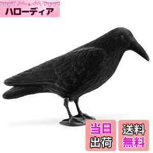 yzNavaris JX u 悯 ރObY - 悯ObY JX悯ObY Nh XY Q΍ - K[fjO C eAG