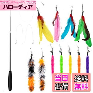 yz14 _Zbg L ColiChili L炵 VR Ĥ pH11 _t pނ莅2 ԂԂ ybgObY ˂pi