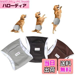 yzLuxja p}i[xg j̎q bV h Lk 3_Zbg }[LO R炵 IVbR΍ o  p(L,+O[+R[q[F)